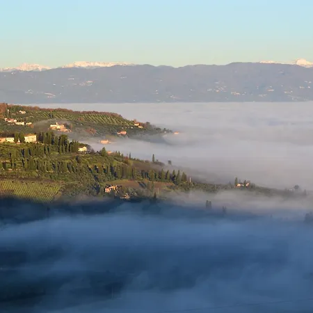 Tenuta Di Capezzana Bed & Breakfast